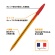 ＢＩＣ　油性ボールペン　クリスタル　オリジナルファイン　０．８ｍｍ　赤　ＣＳＴ－ＯＦ０８ＲＥＤＢ２０　１箱（２０本）3