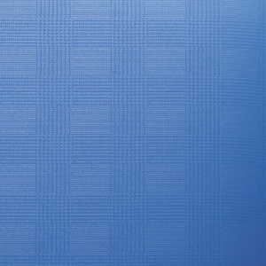 コクヨ　クリヤーブック（Ｇｌａｓｓｅｌｅ）　固定式　Ａ４タテ　１００ポケット　背幅５１ｍｍ　ブルー　ラ－ＧＬ１００Ｂ　１冊2