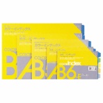 ライオン事務器　カラーインデックス　Ｂ５ヨコ　２穴　５色５山＋扉紙　Ｃ１－２４　１パック（２組）