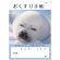 おくすり手帳　３２ページ　ＰＨＯＴＯ　アザラシ　１パック（５０冊）1