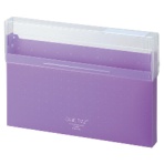 リヒトラブ　ＣＵＢＥ　ＦＩＺＺ　コングレスケース　Ａ４　Ａ－６０２４