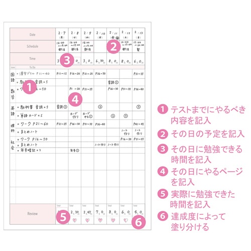 サンスター文具　スタディープランノートＢ５　２週間　みおりんＳｔｕｄｙ　Ｔｉｍｅ　ピンク　Ｓ２６３８５４１　１冊6