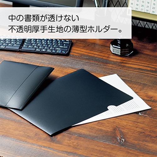 リヒトラブ　Ｎｏｉｒ×ｎｏｉｒ　ソリッドホルダー　Ａ４　Ｆ－５９０４　１枚2