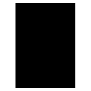 ササガワ　フリーカットペーパー　Ａ５　ブラック　１６－３４６　１パック（１０枚）1