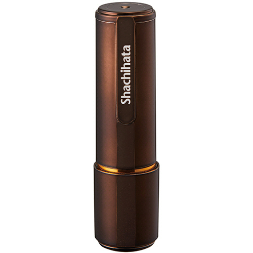 ♡みなみさま専用♡ポケット付き御城印帳　ブラック×ゴールド メタリックシルバー ネーム9 メタリックカラー 別製 ブラウンメタリック|XL-9/CM4