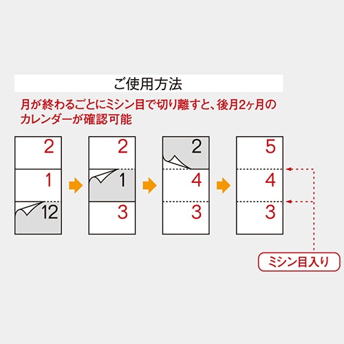 杉本カレンダー　壁掛けカレンダー　シンプルスケジュール（年表付・スリーマンス）　２０２５年版　ＳＧ－３１７－２０２５　１冊3