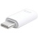 ＦＳＣ　Ｔｙｐｅ－Ｃ変換アダプタ　ホワイト　ＦＳ－ＡＤＬＣ０１－ＷＨ　１個1