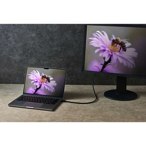 エレコム　ウルトラハイスピードＨＤＭＩケーブル　ブラック　１．５ｍ　ＲｏＨＳ指令準拠（１０物質）　ＤＨ－ＨＤ２１Ｅ１５ＢＫ２　１本5
