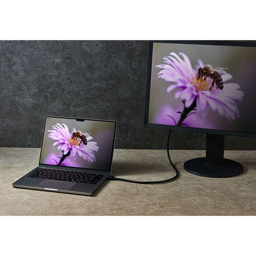 エレコム　ウルトラハイスピードＨＤＭＩケーブル　ブラック　３．０ｍ　ＲｏＨＳ指令準拠（１０物質）　ＤＨ－ＨＤ２１Ｅ３０ＢＫ２　１本5