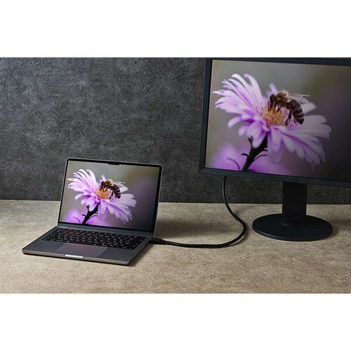 エレコム　ウルトラハイスピードＨＤＭＩケーブル　ブラック　５．０ｍ　ＲｏＨＳ指令準拠（１０物質）　ＤＨ－ＨＤ２１Ｅ５０ＢＫ２　１本5