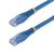 ＳｔａｒＴｅｃｈ．ｃｏｍ　カテゴリ６　ＬＡＮケーブル　ＵＴＰ　３０ｃｍ　ブルー　Ｃ６ＰＡＴＣＨ１ＢＬ　１本