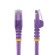 ＳｔａｒＴｅｃｈ．ｃｏｍ　カテゴリ６　ＬＡＮケーブル　ＲＪ４５モールドコネクタ　ツメ折れ防止　０．５ｍ　パープル　Ｎ６ＰＡＴＣ５０ＣＭＰＬ　１本2
