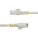 ＳｔａｒＴｅｃｈ．ｃｏｍ　カテゴリ６　ＬＡＮケーブル　ＲＪ４５モールドコネクタ　ツメ折れ防止　０．５ｍ　ホワイト　Ｎ６ＰＡＴＣ５０ＣＭＷＨ　１本3