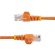 ＳｔａｒＴｅｃｈ．ｃｏｍ　カテゴリ５ｅ　ＬＡＮケーブル　ツメ折れ防止ＲＪ４５コネクタ　０．５ｍ　オレンジ　４５ＰＡＴ５０ＣＭＯＲ　１本3