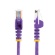 ＳｔａｒＴｅｃｈ．ｃｏｍ　カテゴリ５ｅ　ＬＡＮケーブル　ツメ折れ防止ＲＪ４５コネクタ　７ｍ　パープル　４５ＰＡＴ７ＭＰＬ　１本2