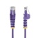 ＳｔａｒＴｅｃｈ．ｃｏｍ　カテゴリ６　ＬＡＮケーブル　スリムタイプ　３ｍ　パープル　Ｎ６ＰＡＴ３００ＣＭＰＬＳ　１本2