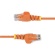 ＳｔａｒＴｅｃｈ．ｃｏｍ　カテゴリ６　ＬＡＮケーブル　スリムタイプ　５０ｃｍ　オレンジ　Ｎ６ＰＡＴ５０ＣＭＯＲＳ　１本3