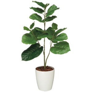 オフィスグリーン　人工植物　ウンベラータ　高さ８００ｍｍ　ＧＷＩＧ－ＯＴ－Ａ０１４　１個1