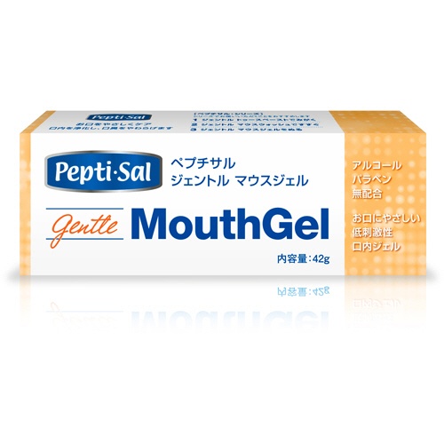 ジェイメック　ペプチサル　ジェントル　マウスジェル　４２ｇ　１本2