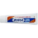ヘイリオンジャパン　ポリデント　入れ歯の歯みがき　９５ｇ　１本