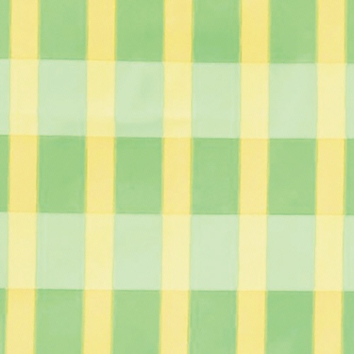 竹虎　ソフラピレンエプロン　ボーダーチェック　グリーン　１枚2
