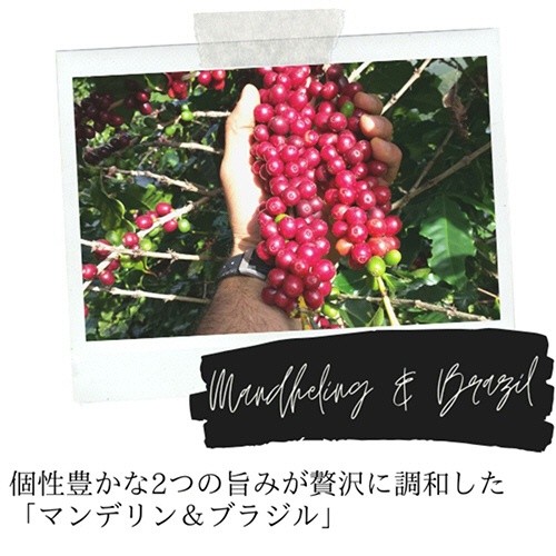 ＵＣＣ　ＤＲＩＰ　ＰＯＤ（ドリップポッド）　マンデリン＆ブラジル　１箱（１２杯）3