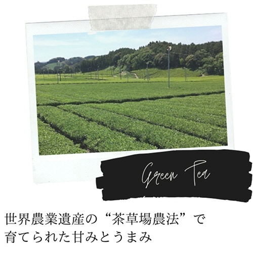 ＵＣＣ　ＤＲＩＰ　ＰＯＤ（ドリップポッド）　深蒸し静岡煎茶　１箱（１２杯）3