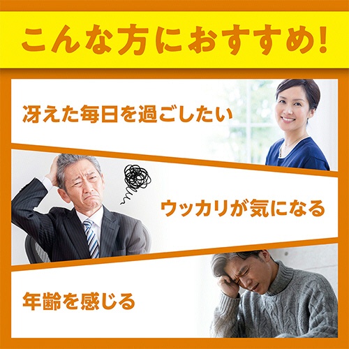 ＤＨＣ　イチョウ葉脳内α　２０日分　１個（６０粒）4