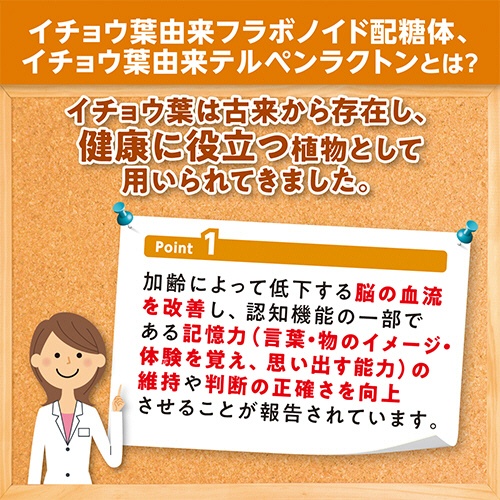 ＤＨＣ　イチョウ葉脳内α　２０日分　１個（６０粒）6