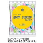 ウェルネオシュガー　ポーションガムシロップ　１１ｇ