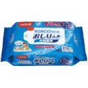 ピジョン　ハビナース　やぶれにくいタイプのおしりふき　大判厚手