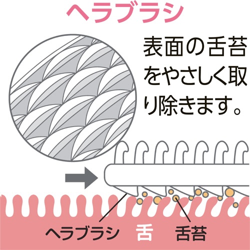 松本金型　新感覚舌ブラシ　したつつみ　ピンク　１本8