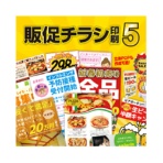 デネット　販促チラシ印刷５　日本語版　ダウンロード版　１本