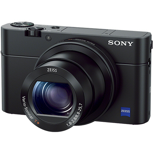 ソニー デジタルカメラ DSC-RX100