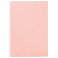 たのめーる】TANOSEE 色画用紙 四つ切 ゆき 1パック(10枚)の通販