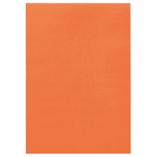 たのめーる】TANOSEE 色画用紙 四つ切 ゆき 1パック(10枚)の通販