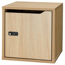 アスカ　組立式木製収納ボックス　本体（扉有り）　ＳＢ９００ＷＤ　１台