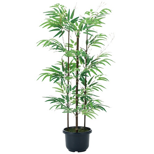 アートクリエイション　人工植物　光触媒　光の楽園　黒竹　高さ１０００ｍｍ　６１２８００２４　１個1