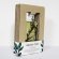 ユーロジャパンエレガンス　Ｂｏｔａｎｉｃａｌ　Ｂｏｔｔｌｅｓ　ディフューザー　グリーンフィズ　１８０ｍｌ　ＩＤＢＢ０１０１　１セット2