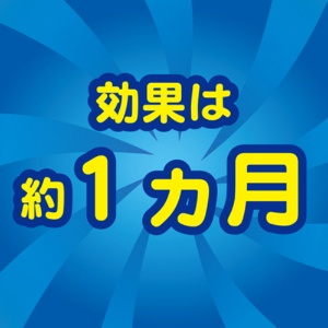 大日本除蟲菊　ＫＩＮＣＨＯ　フライキャッチャーオレンジＺ　１パック（１０個）5
