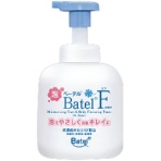 ベーテル・プラス 泡ベーテルF 清拭・洗浄料 500mL BF02 1本