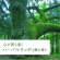 アース製薬　Ｓｕｋｋｉ－ｒｉ！　ＣＯＲＫ＋ＳＴＩＣＫ　－Ｐｕｒｉｔｕｒｅ－　「大樹の下で」　本体　１００ｍｌ　１本10