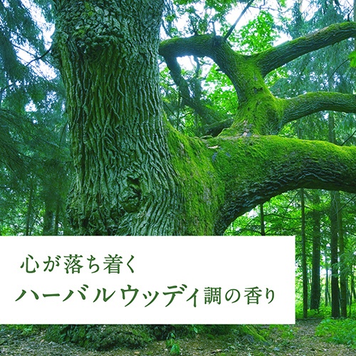 アース製薬　Ｓｕｋｋｉ－ｒｉ！　ＣＯＲＫ＋ＳＴＩＣＫ　－Ｐｕｒｉｔｕｒｅ－　「大樹の下で」　本体　１００ｍｌ　１本10