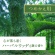 アース製薬　Ｓｕｋｋｉ－ｒｉ！　ＣＯＲＫ＋ＳＴＩＣＫ　－Ｐｕｒｉｔｕｒｅ－　「大樹の下で」　つめかえ用　１００ｍｌ　１本5