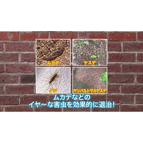 ＫＩＮＣＨＯ園芸　ムカデ粉剤ＥＸ　１．２ｋｇ　１個3