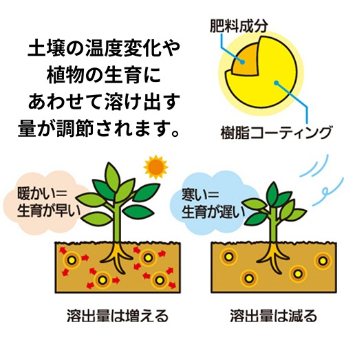 ＫＩＮＣＨＯ園芸　マイガーデン植物全般用　１．２ｋｇ　１袋2