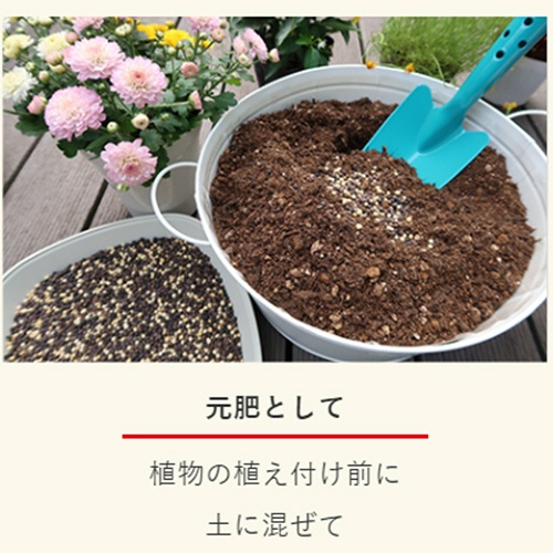 ＫＩＮＣＨＯ園芸　マイガーデン植物全般用　１．２ｋｇ　１袋4