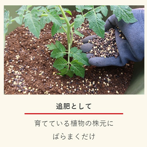 ＫＩＮＣＨＯ園芸　マイガーデン植物全般用　１．２ｋｇ　１袋5