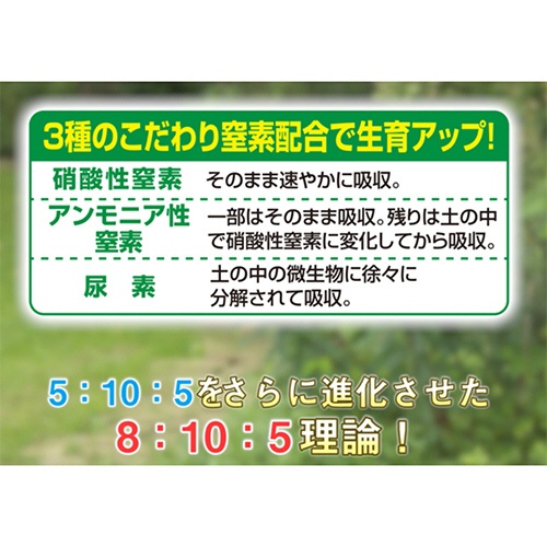 ＫＩＮＣＨＯ園芸　花工場原液　６００ｍｌ　１本3