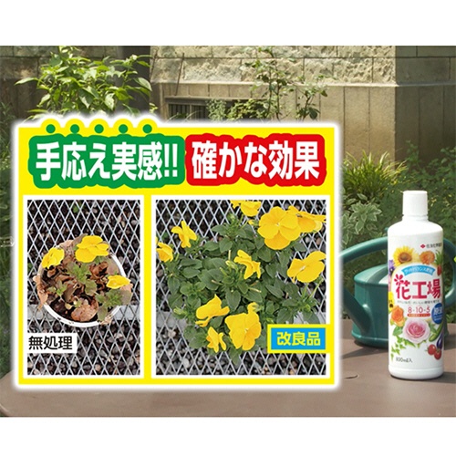 ＫＩＮＣＨＯ園芸　花工場原液　６００ｍｌ　１本4